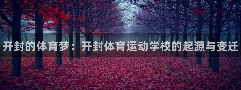 vsport体育官方正版app娱乐代理怎么样：开封的