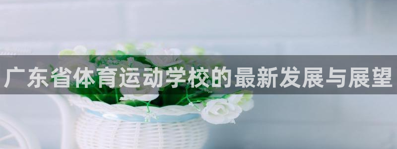 vsport体育官网下载招商电话地址：广东省体育运动学校的最