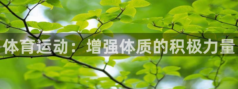 德国vsport体育官方正版app集团：体育运动：增