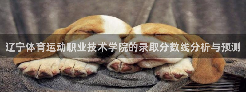 vsport体育官网下载招商电话地址查询