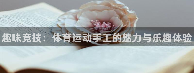 海南vsport体育官网下载：趣味竞技：体育运动手工的魅力与