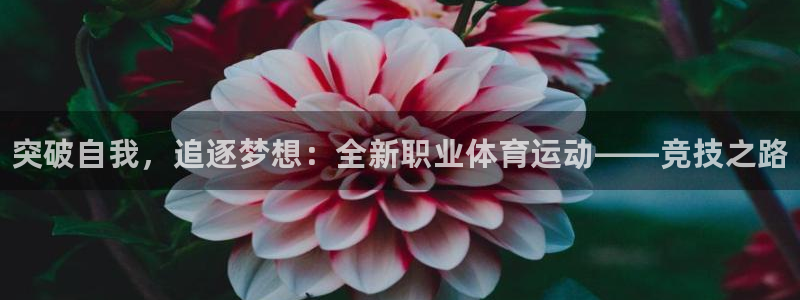 vsport体育官网下载招商电话号码查询：突破自我，