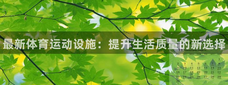 vsport体育官方正版app娱乐平台：最新体育运动设施：提