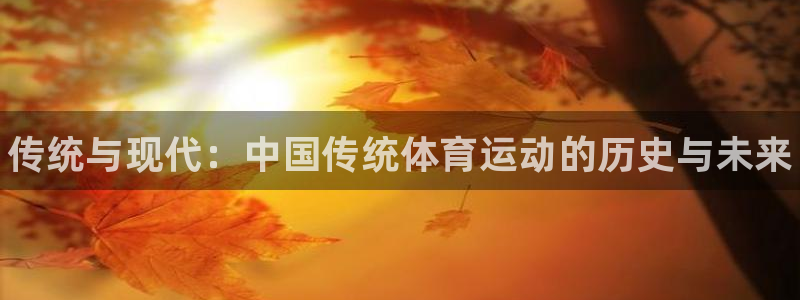 vsport体育官方正版app五金厂：传统与现代：中