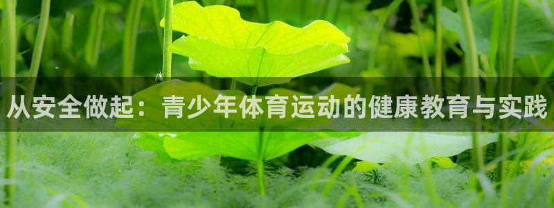 海南vsport体育官网下载发展怎么样：从安全做起：