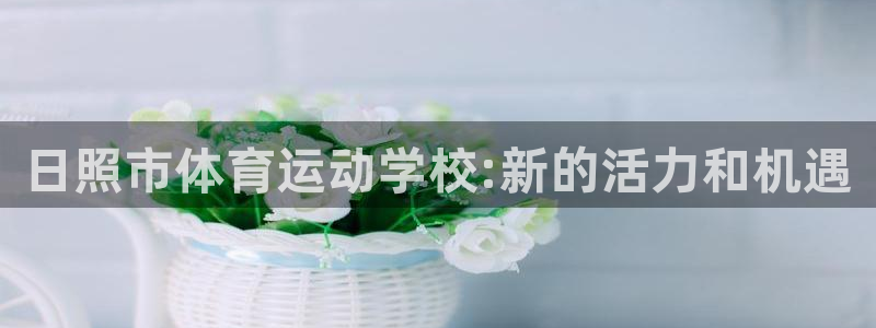 vsport体育官网下载平台注册流程图：日照市体育运