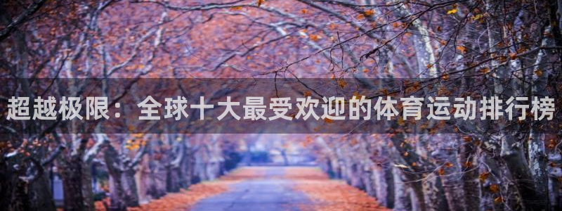 vsport体育官方正版app娱乐40996：超越极