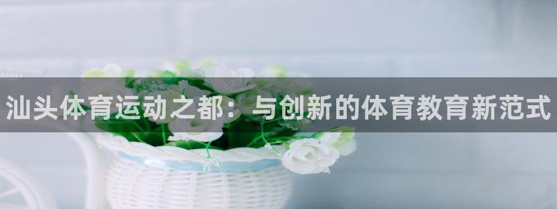 vsport体育官方正版app娱乐平台：汕头体育运动