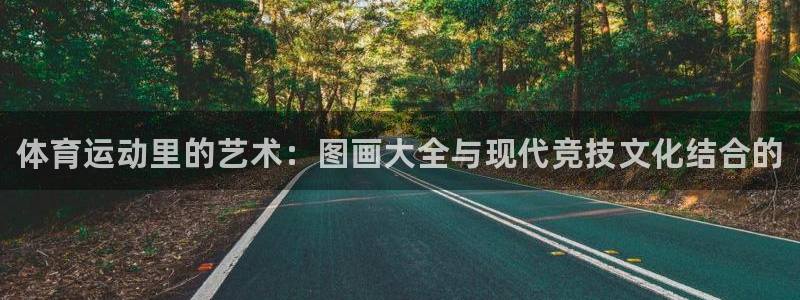 vsport体育官方正版app娱乐下载