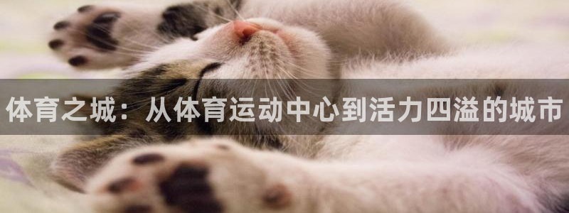 vsport体育官方平台体育：体育之城：从体育运动中心到活力