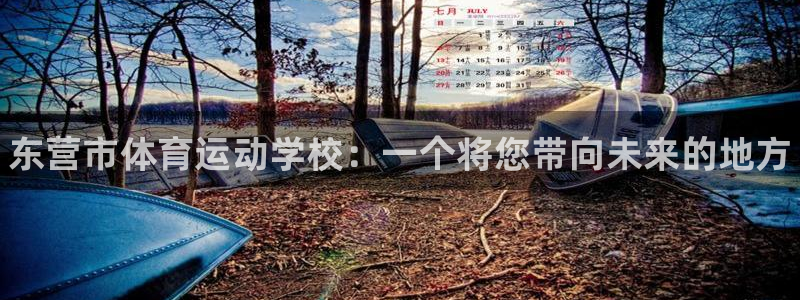 vsport体育官网下载招商电话是多少号码：东营市体