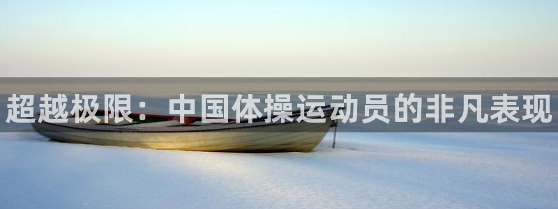 vsport体育官方正版app科技：超越极限：中国体