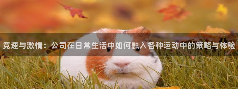 vsport体育官网下载招商电话地址