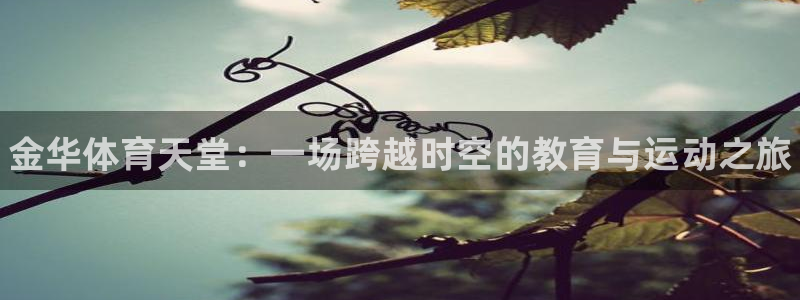 vsport体育官网下载平台注册：金华体育天堂：一场