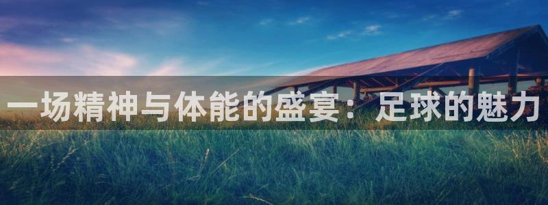 vsport体育官网下载招商电话号码查询：一场精神与