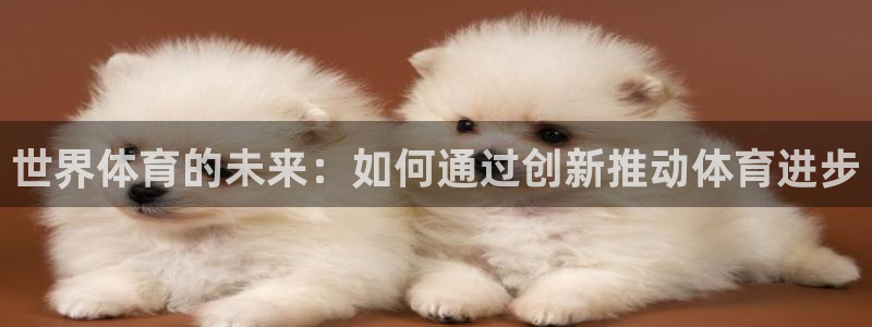 vsport体育官方正版app娱乐下载：世界体育的未来：如何