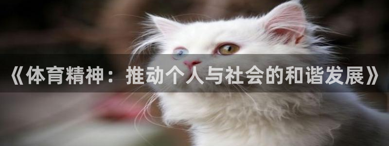 vsport体育官网下载招商电话号码