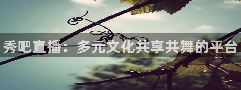 so米体育直播下载：秀吧直播：多元文化共享共舞的平台