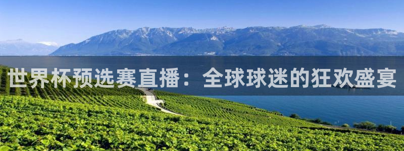 so米体育直播app下载：世界杯预选赛直播：全球球迷的狂欢盛宴