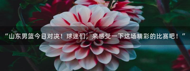 so米体育nba在线直播：“山东男篮今日对决！球迷们，来感受一下这场精彩的比赛吧！”