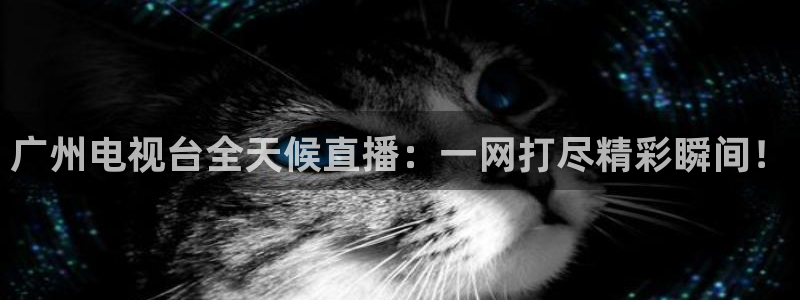 搜米so米体育直播nba：广州电视台全天候直播：一网打尽精彩瞬间！
