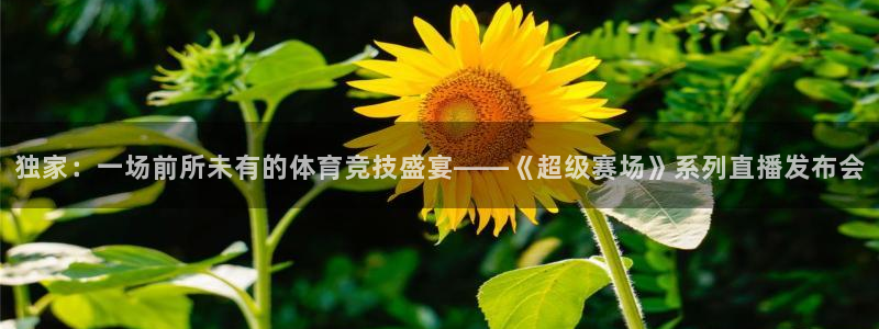 so米体育在线直播足球直播：独家：一场前所未有的体育竞技盛宴——《超级赛场》系列直播发布会