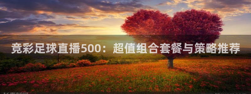 so米直播体育：竞彩足球直播500：超值组合套餐与策略推荐