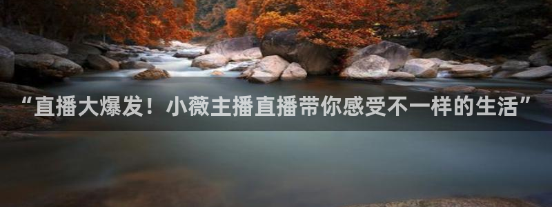 so米体育直播nba：“直播大爆发！小薇主播直播带你感受不一样的生活”