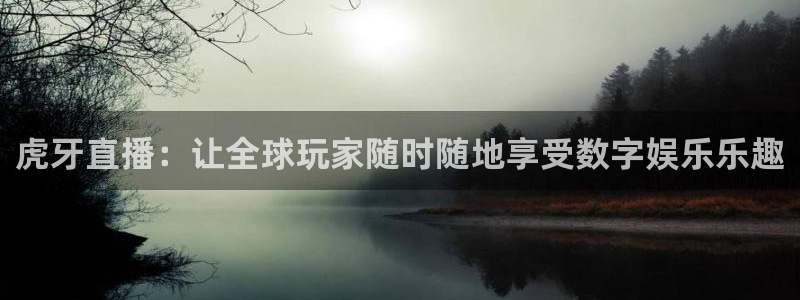 so米体育nba直播吧：虎牙直播：让全球玩家随时随地享受数字娱乐乐趣