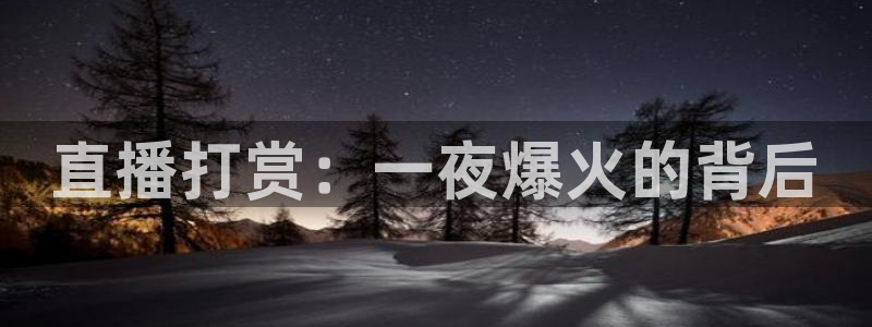 so米体育直播app：直播打赏：一夜爆火的背后