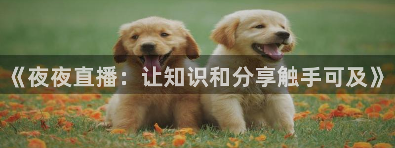 so米体育直播在线观看直播