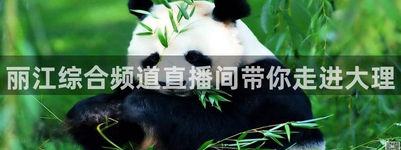 so米体育直播吧：丽江综合频道直播间带你走进大理